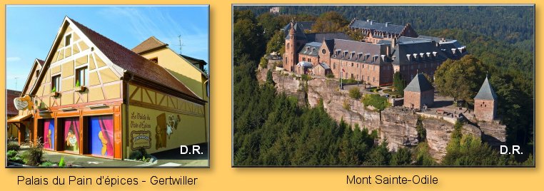 Excursion Gertwiller - Mont Sainte-Odile