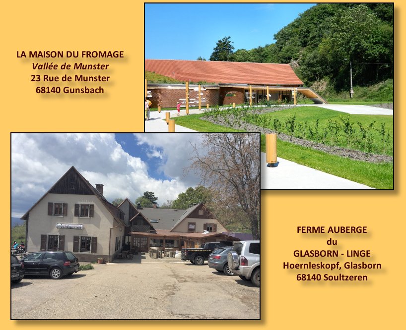Excursion dans la vallée de Munster