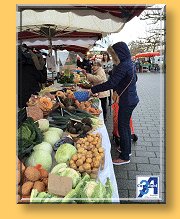 Accompagnement au marché